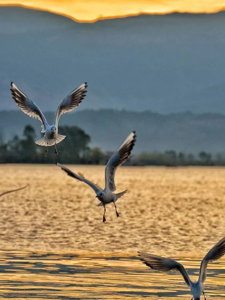 原创 海南版“加州1号公路”,沿途都是媲美马代的天堂海景20