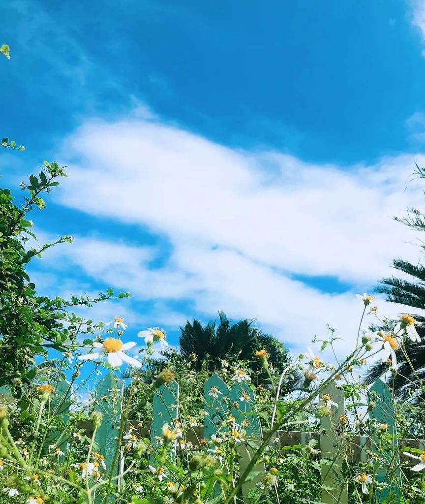 原创 海南版“加州1号公路”,沿途都是媲美马代的天堂海景27