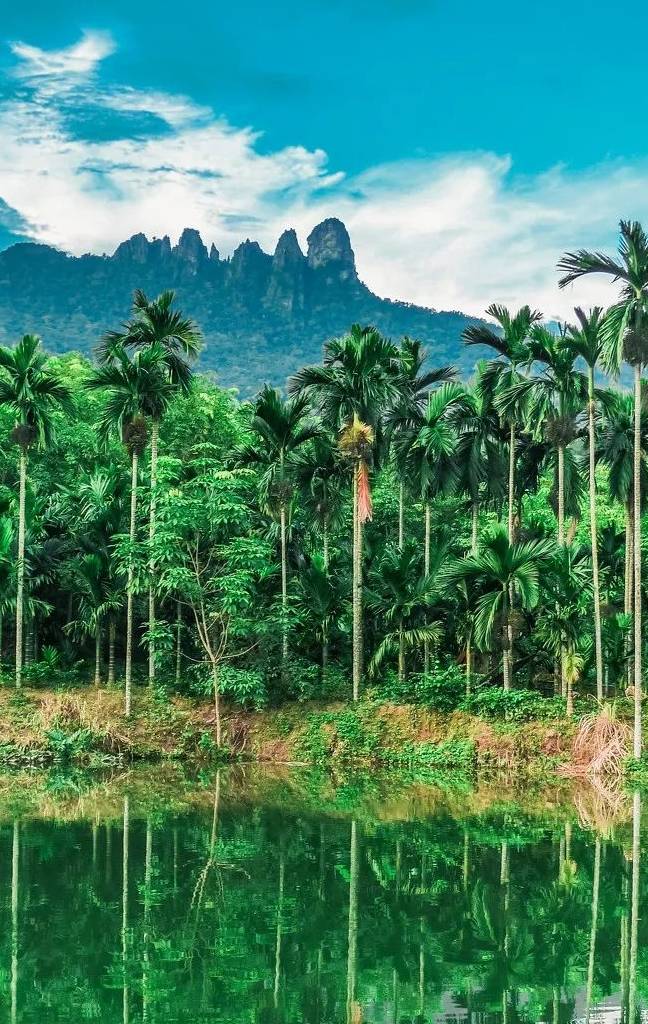 原创 海南版“加州1号公路”,沿途都是媲美马代的天堂海景33