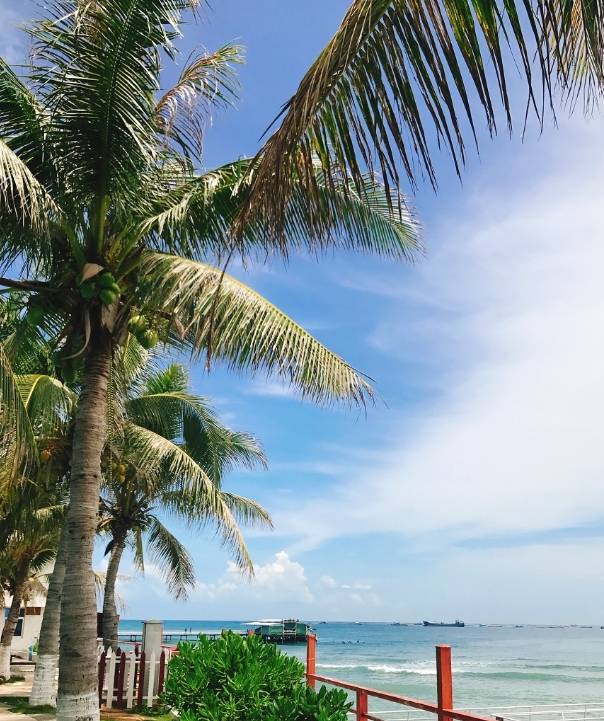 原创 海南版“加州1号公路”,沿途都是媲美马代的天堂海景40