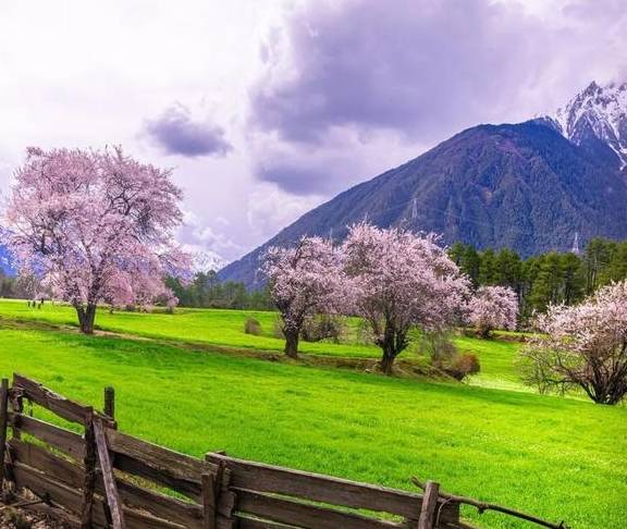 原创 这个地方，才是西藏真正隐藏的“桃花源”14