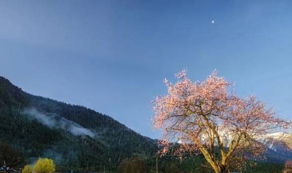 原创 这个地方，才是西藏真正隐藏的“桃花源”15