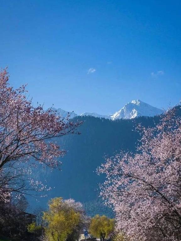 原创 这个地方，才是西藏真正隐藏的“桃花源”18