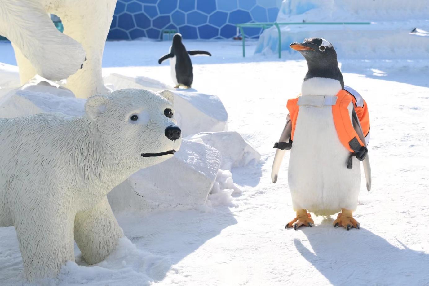 哈尔滨极地公园春节活动年味浓1