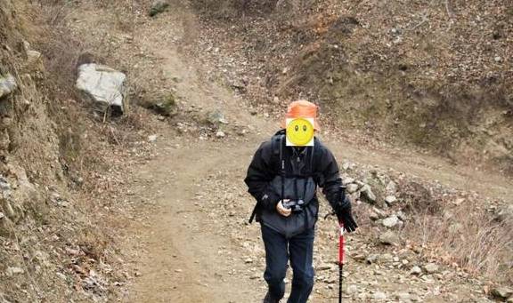 原创 再访秦岭岭沟，竟然碰到了与四年前一样的场景：四头黄牛和一个人1