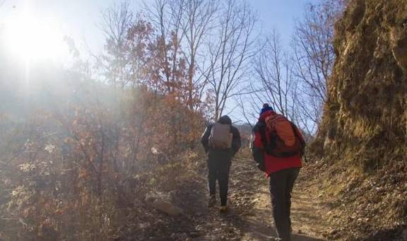 原创 再访秦岭岭沟，竟然碰到了与四年前一样的场景：四头黄牛和一个人4
