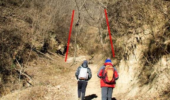 原创 再访秦岭岭沟，竟然碰到了与四年前一样的场景：四头黄牛和一个人6