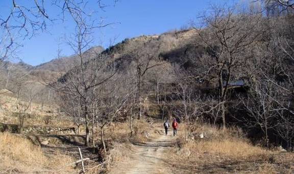 原创 再访秦岭岭沟，竟然碰到了与四年前一样的场景：四头黄牛和一个人10