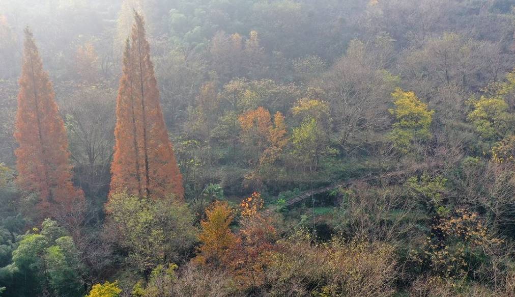 原创 燕窝和林山古道环线，古道古村，还有水库风光11