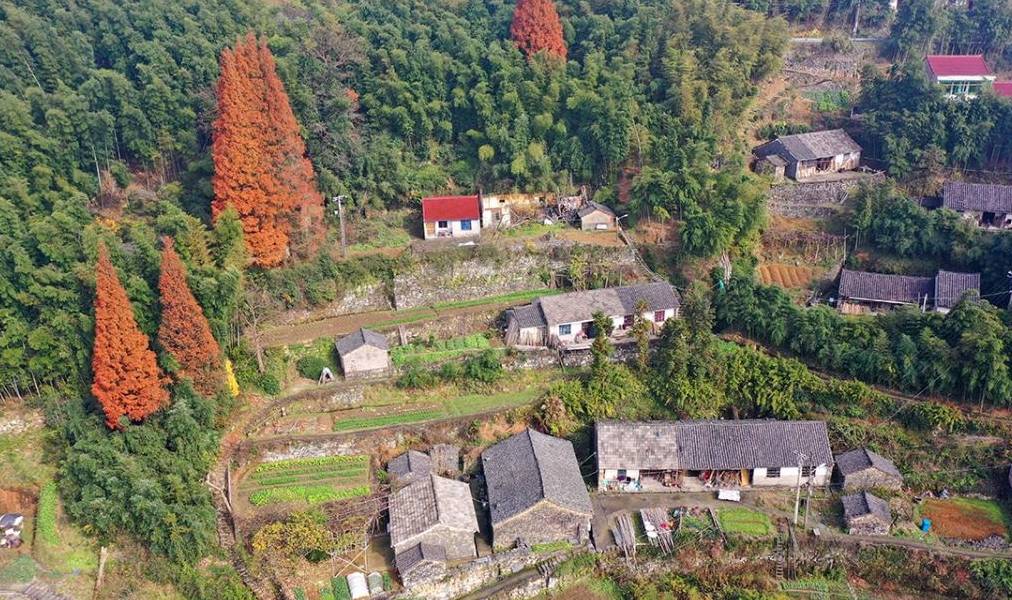 原创 燕窝和林山古道环线，古道古村，还有水库风光8