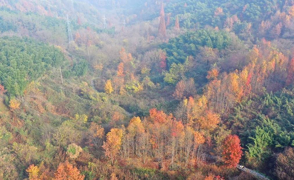 原创 燕窝和林山古道环线，古道古村，还有水库风光12
