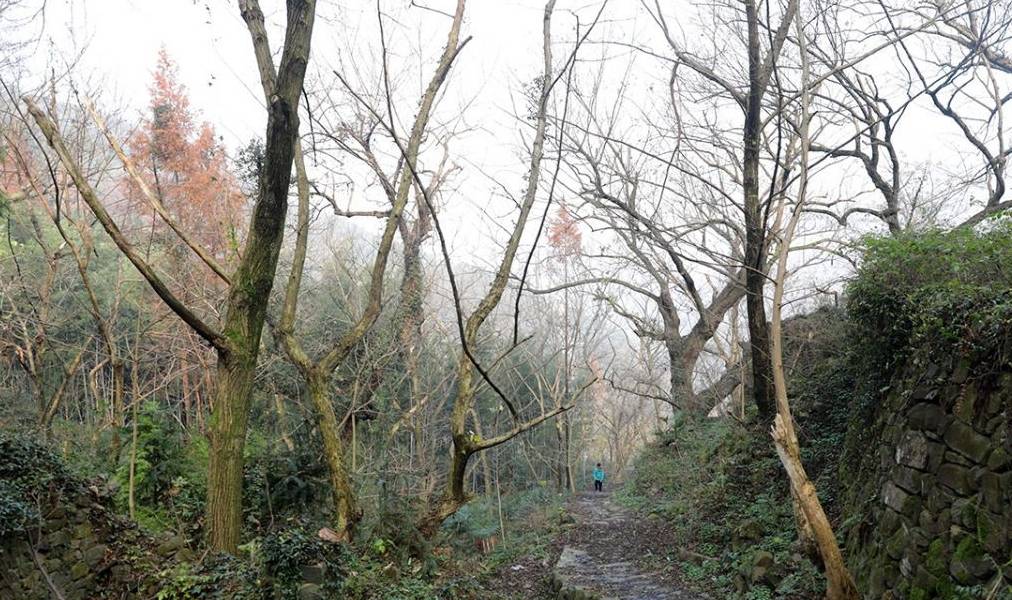 原创 燕窝和林山古道环线，古道古村，还有水库风光13