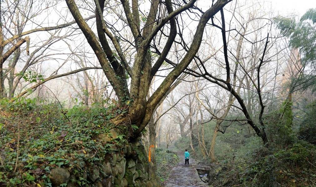 原创 燕窝和林山古道环线，古道古村，还有水库风光15