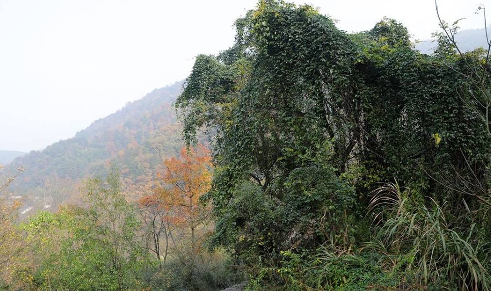 原创 燕窝和林山古道环线，古道古村，还有水库风光17