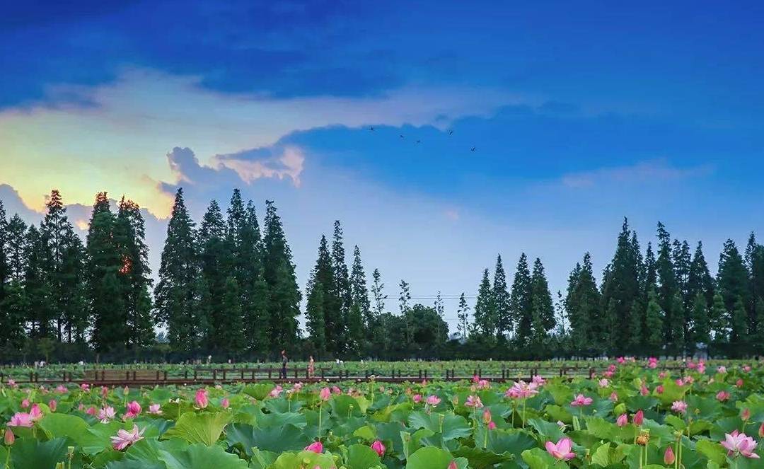 原创 江苏一处低调的自驾游胜地，主要分为三大区域，紧邻安徽4