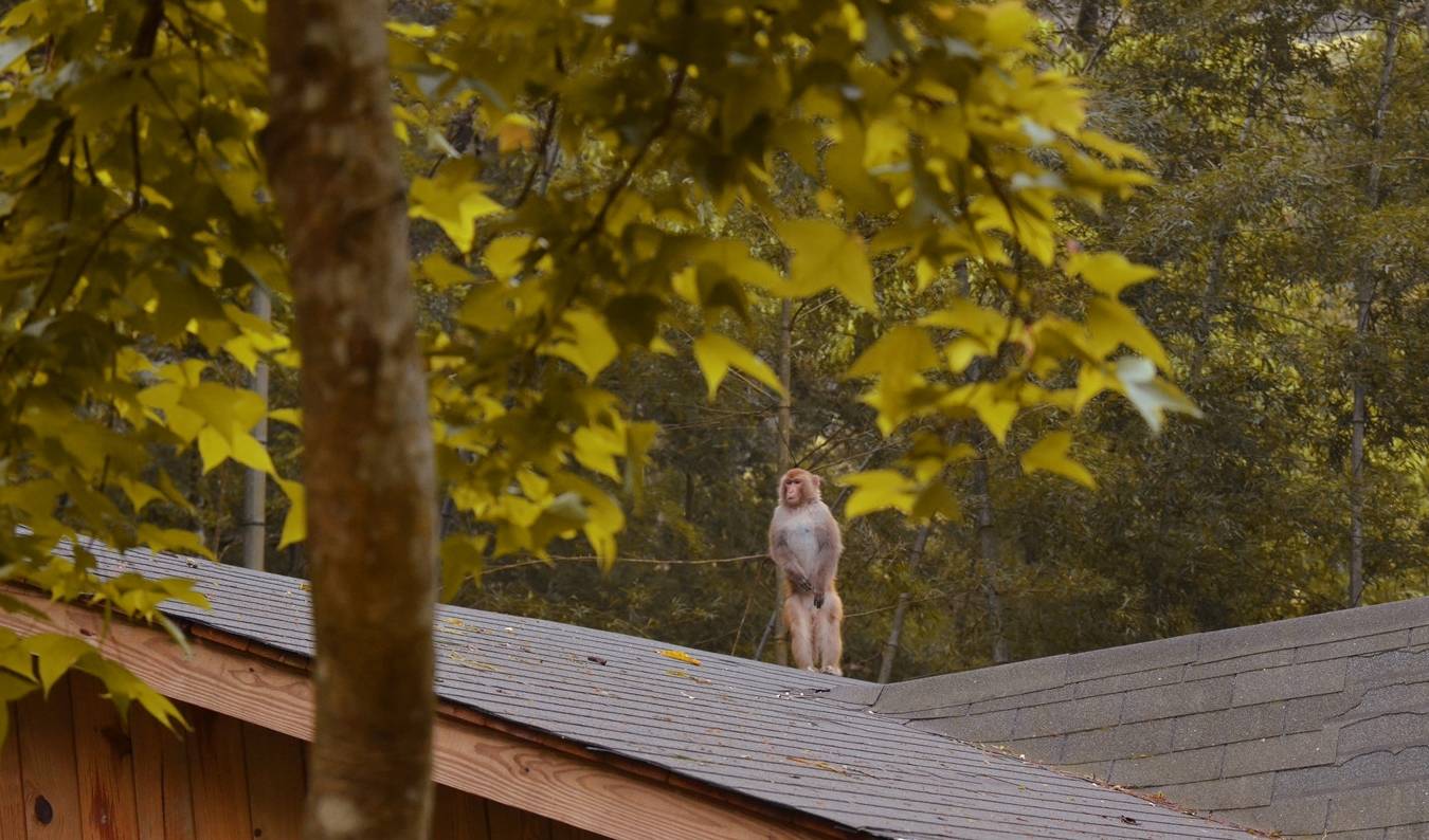原创 《山海情》中的福建：两座城市破万亿元，最美的风景却藏在山里头10