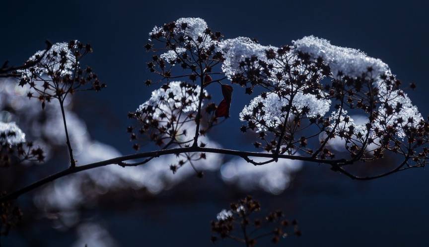 原创 卧龙关冰瀑，号称完爆虎牙，只因这里生活着大熊猫和雪豹吗5