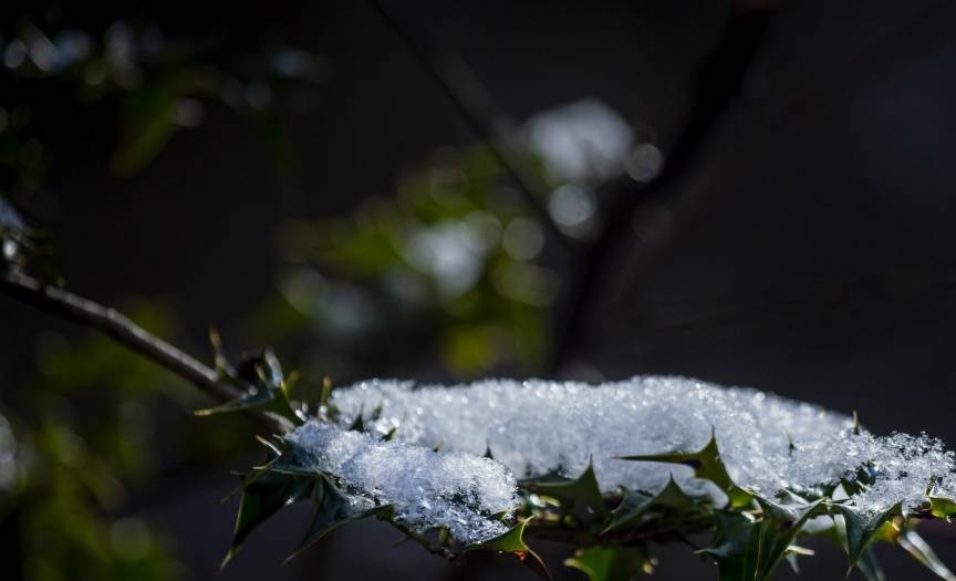 原创 卧龙关冰瀑，号称完爆虎牙，只因这里生活着大熊猫和雪豹吗7