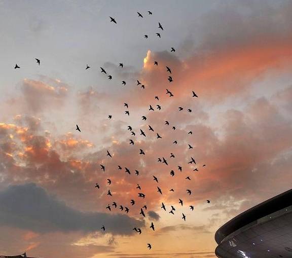 原创 香港中国旅游签约摄影师黎为民：城市建筑摄影，另类的点线面5