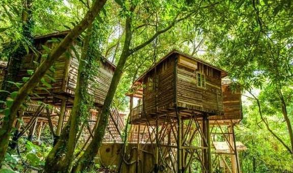 原创 广东有个超适合“隐居”的树屋，藏在深山之中，你想去感受一下吗1