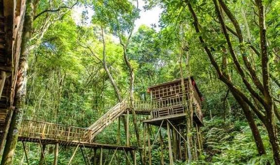 原创 广东有个超适合“隐居”的树屋，藏在深山之中，你想去感受一下吗2