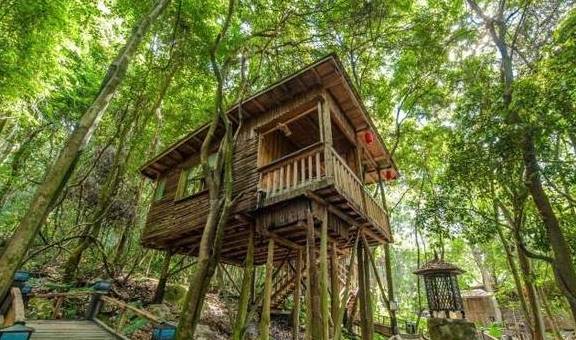 原创 广东有个超适合“隐居”的树屋，藏在深山之中，你想去感受一下吗3