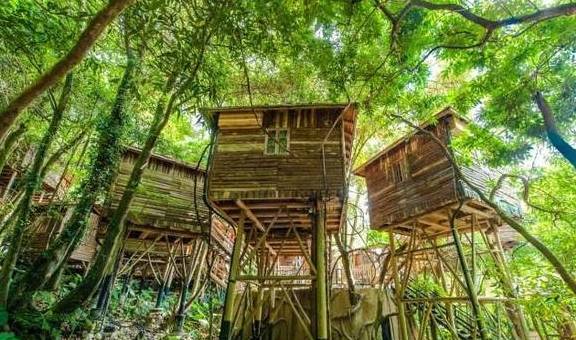 原创 广东有个超适合“隐居”的树屋，藏在深山之中，你想去感受一下吗4