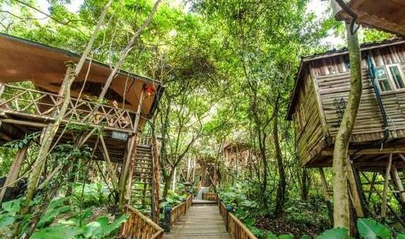 原创 广东有个超适合“隐居”的树屋，藏在深山之中，你想去感受一下吗5