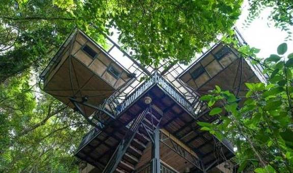 原创 广东有个超适合“隐居”的树屋，藏在深山之中，你想去感受一下吗6