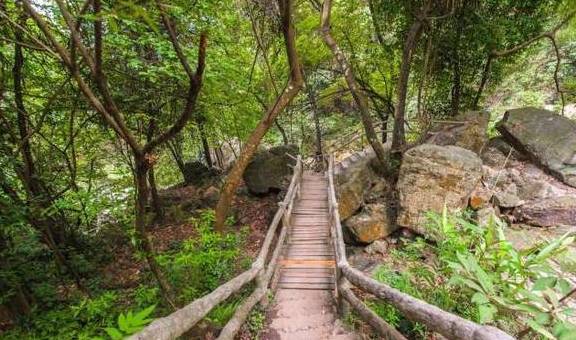 原创 广东有个超适合“隐居”的树屋，藏在深山之中，你想去感受一下吗8