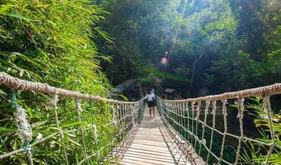 原创 广东有个超适合“隐居”的树屋，藏在深山之中，你想去感受一下吗9