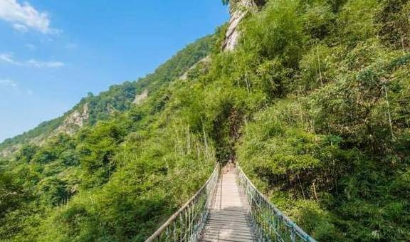 原创 广东有个超适合“隐居”的树屋，藏在深山之中，你想去感受一下吗10