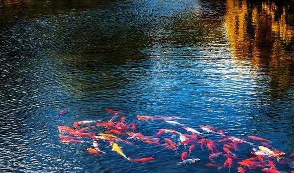 原创 云南最适合独处的古镇,有超出名的“八景”,比大研古镇安静多了2