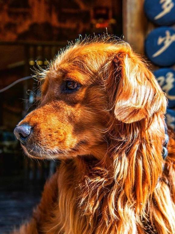 原创 云南最适合独处的古镇,有超出名的“八景”,比大研古镇安静多了3