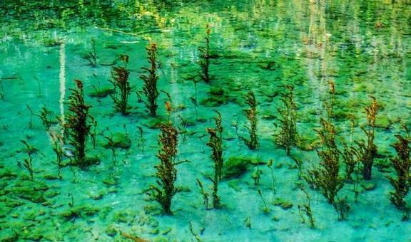 原创 云南最适合独处的古镇,有超出名的“八景”,比大研古镇安静多了9