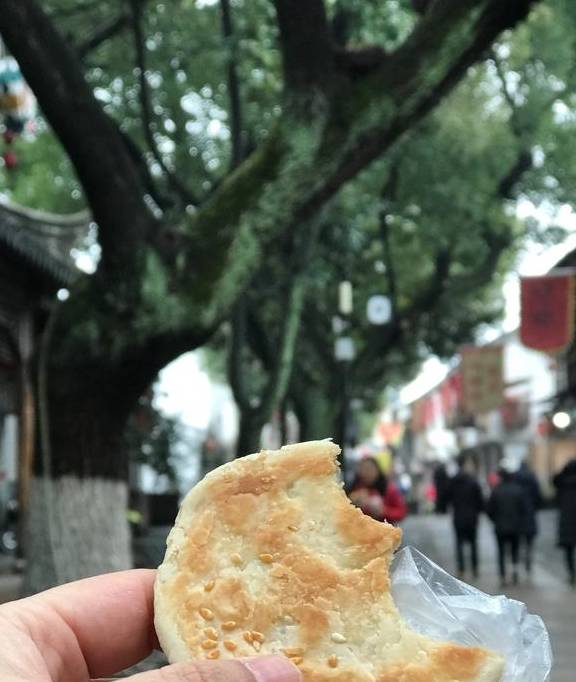 原创 游木渎,不花冤枉钱才是古镇最佳玩法16