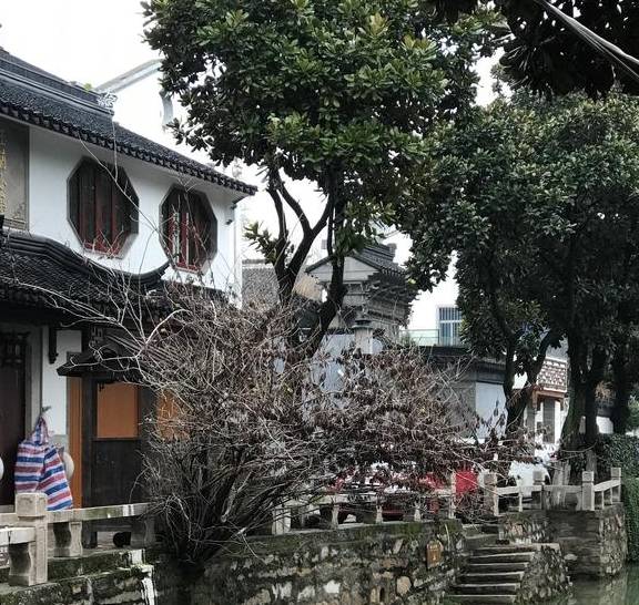 原创 游木渎,不花冤枉钱才是古镇最佳玩法18
