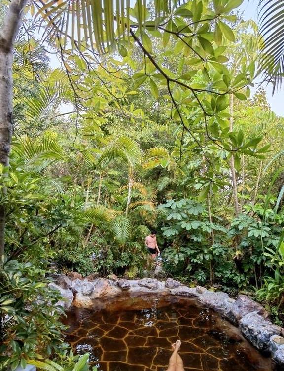 原创 留在广东过年,到增城派潭,有风景秀丽,还有农家菜泡温泉住别墅23
