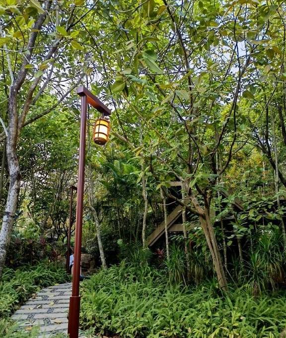 原创 留在广东过年,到增城派潭,有风景秀丽,还有农家菜泡温泉住别墅25