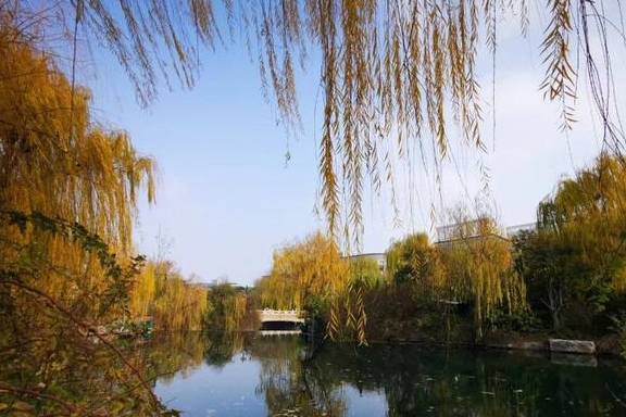 原创 五龙潭冬韵：风吟鸟鸣、溪流泉声，像一曲古筝4