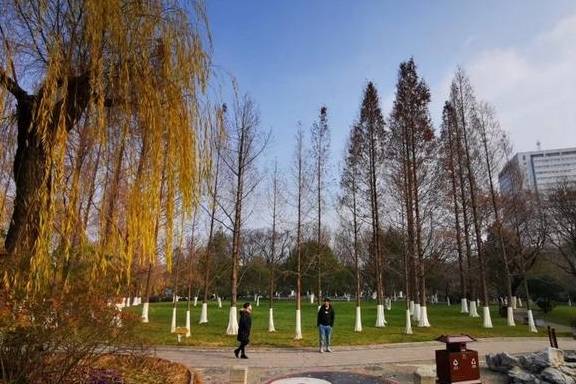 原创 五龙潭冬韵：风吟鸟鸣、溪流泉声，像一曲古筝5