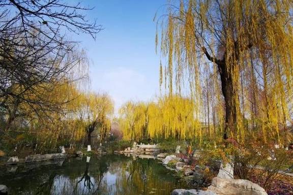 原创 五龙潭冬韵：风吟鸟鸣、溪流泉声，像一曲古筝6