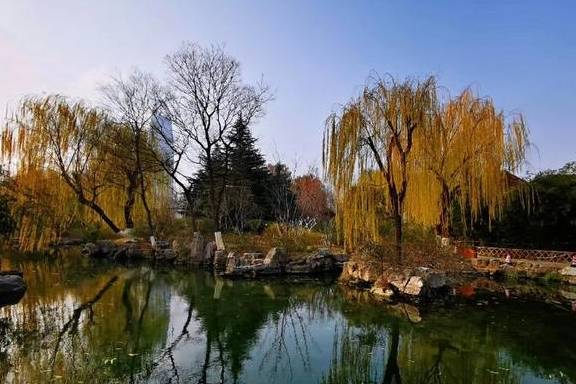 原创 五龙潭冬韵：风吟鸟鸣、溪流泉声，像一曲古筝9