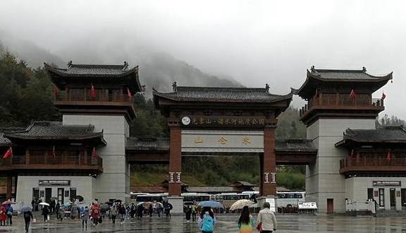 原创 秦岭以南、五岭南坡以北水青冈树形成的美景让人心旌荡漾遐思无限1