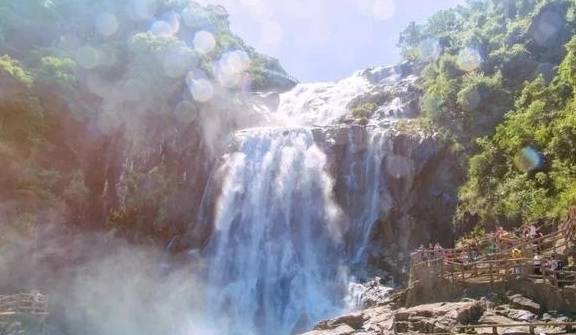 原创 梅州赏花旅游线路出炉，赶快来体验梅州的“花花世界”4