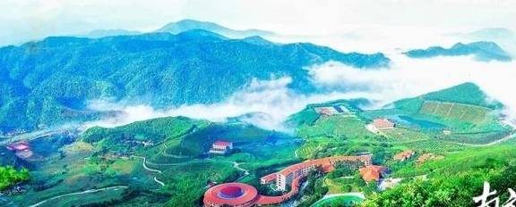 原创 梅州赏花旅游线路出炉，赶快来体验梅州的“花花世界”5