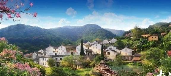 原创 梅州赏花旅游线路出炉，赶快来体验梅州的“花花世界”6