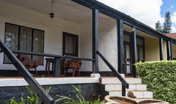 原创 东非大草原上的闪亮明珠,肯尼亚马赛马拉大草原8