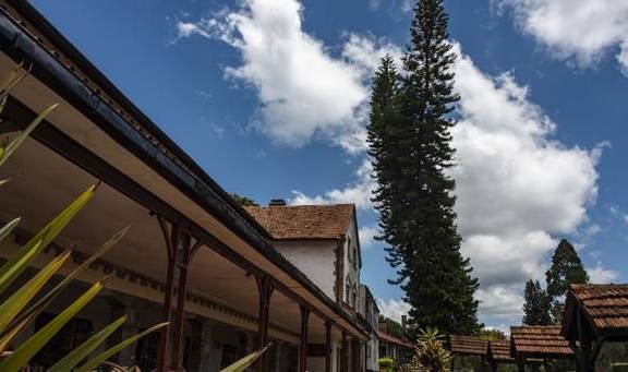 原创 东非大草原上的闪亮明珠,肯尼亚马赛马拉大草原9