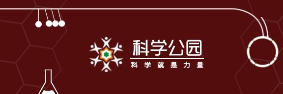 原创 不看不知道,北京城市副中心,就有308种鸟1